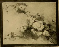 An illustration from Catalog E. (1909)