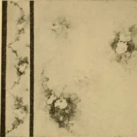 An illustration from Catalog E. (1909)