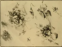 An illustration from Catalog E. (1909)