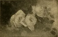 An illustration from Catalog E. (1909)