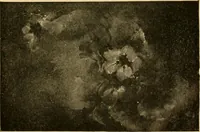 An illustration from Catalog E. (1909)