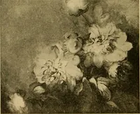 An illustration from Catalog E. (1909)