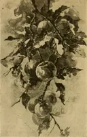 An illustration from Catalog E. (1909)