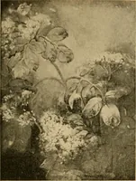 An illustration from Catalog E. (1909)