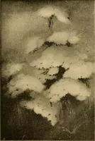 Picture 47 of 119 from Catalog E. (1909), leaf 30