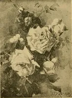 Picture 49 of 119 from Catalog E. (1909), leaf 31