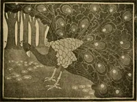 An illustration from Catalog E. (1909)