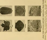 Picture 52 of 119 from Catalog E. (1909), leaf 33