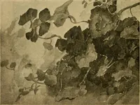 An illustration from Catalog E. (1909)