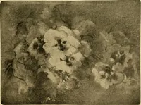 An illustration from Catalog E. (1909)