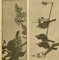 An illustration from Catalog E. (1909)