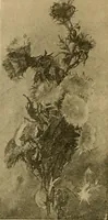 An illustration from Catalog E. (1909)