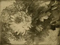An illustration from Catalog E. (1909)