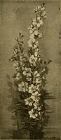 An illustration from Catalog E. (1909)