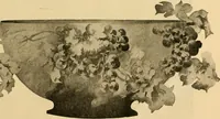 An illustration from Catalog E. (1909)