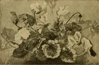 An illustration from Catalog E. (1909)