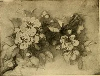 An illustration from Catalog E. (1909)