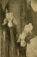 An illustration from Catalog E. (1909)