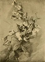 An illustration from Catalog E. (1909)