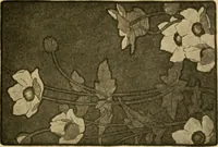 An illustration from Catalog E. (1909)