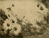 Picture 96 of 119 from Catalog E. (1909), leaf 56