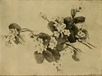 An illustration from Catalog E. (1909)