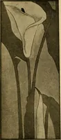 An illustration from Catalog E. (1909)