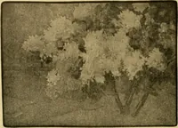 An illustration from Catalog E. (1909)
