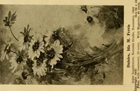 An illustration from Catalog E. (1909)