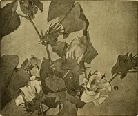 An illustration from Catalog E. (1909)