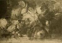 An illustration from Catalog E. (1909)