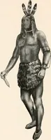 An illustration from Catalog no. 177 (1911)