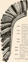 An illustration from Catalog no. 177 (1911)