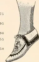 An illustration from Catalog no. 177 (1911)
