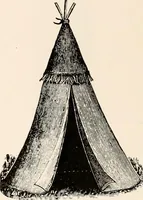 An illustration from Catalog no. 177 (1911)