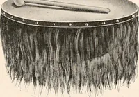 An illustration from Catalog no. 177 (1911)