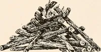 An illustration from Catalog no. 177 (1911)