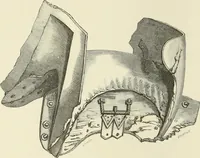 An illustration from A catalog of the antiquities and works of art, exhibited at Ironmongers' Hall, London, in the month of May, 1861 (1869)