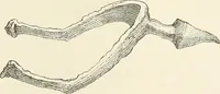 An illustration from A catalog of the antiquities and works of art, exhibited at Ironmongers' Hall, London, in the month of May, 1861 (1869)