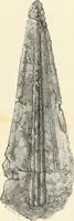 Picture 7 of 104 from A catalog of the antiquities and works of art, exhibited at Ironmongers' Hall, London, in the month of May, 1861 (1869), leaf 18
