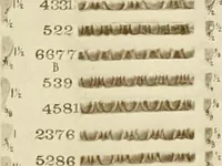 An illustration from Catalog of Capitals, brackets and compo ornament for exterior and interior decoration (1900)