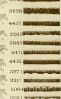 An illustration from Catalog of Capitals, brackets and compo ornament for exterior and interior decoration (1900)