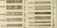 An illustration from Catalog of Capitals, brackets and compo ornament for exterior and interior decoration (1900)