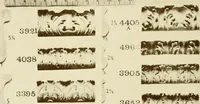 An illustration from Catalog of Capitals, brackets and compo ornament for exterior and interior decoration (1900)