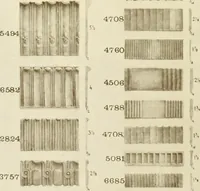 An illustration from Catalog of Capitals, brackets and compo ornament for exterior and interior decoration (1900)