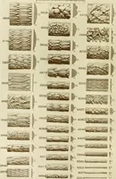 An illustration from Catalog of Capitals, brackets and compo ornament for exterior and interior decoration (1900)