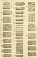 An illustration from Catalog of Capitals, brackets and compo ornament for exterior and interior decoration (1900)