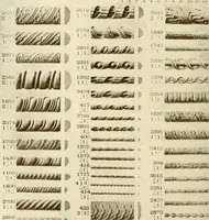 An illustration from Catalog of Capitals, brackets and compo ornament for exterior and interior decoration (1900)
