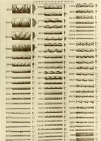 An illustration from Catalog of Capitals, brackets and compo ornament for exterior and interior decoration (1900)
