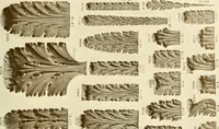 An illustration from Catalog of Capitals, brackets and compo ornament for exterior and interior decoration (1900)